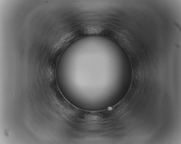 X0000103290743200809051459