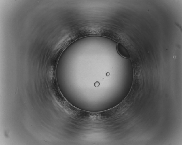 X0000103290744200809051459