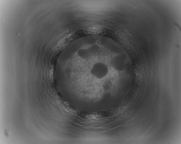 X0000103290745200809051459