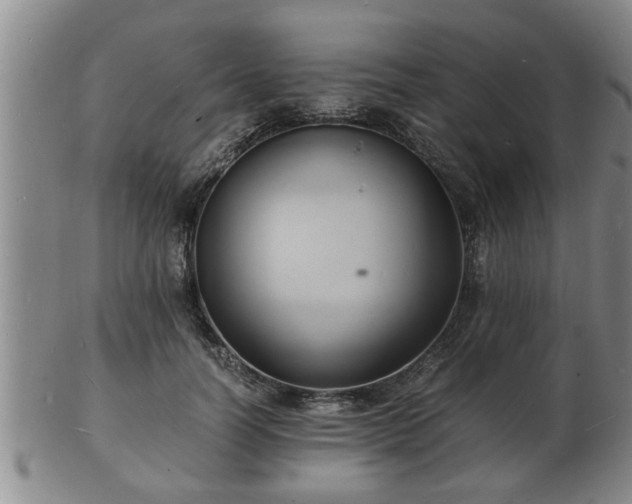 X0000103290746200809051459