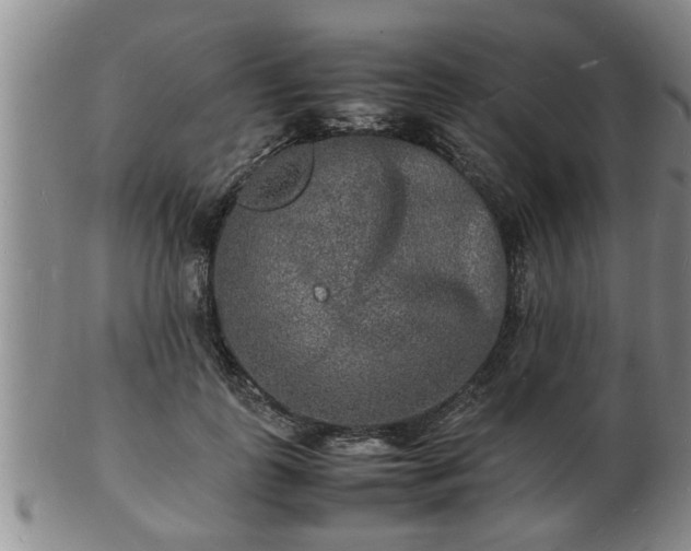 X0000103290747200809051459