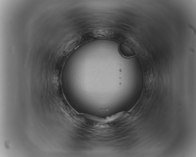 X0000103290749200809051459