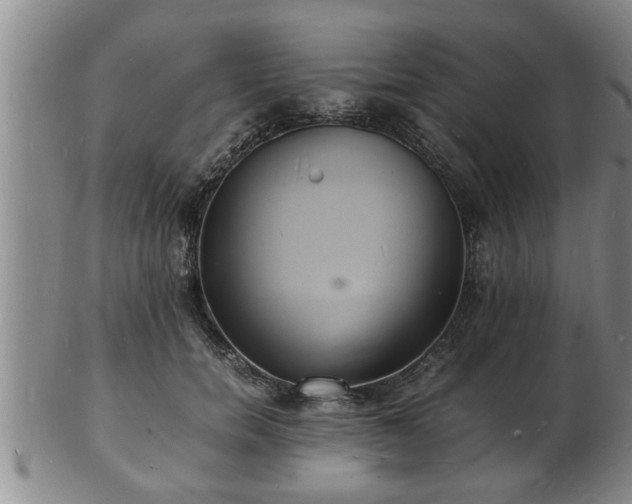 X0000103290750200809051459