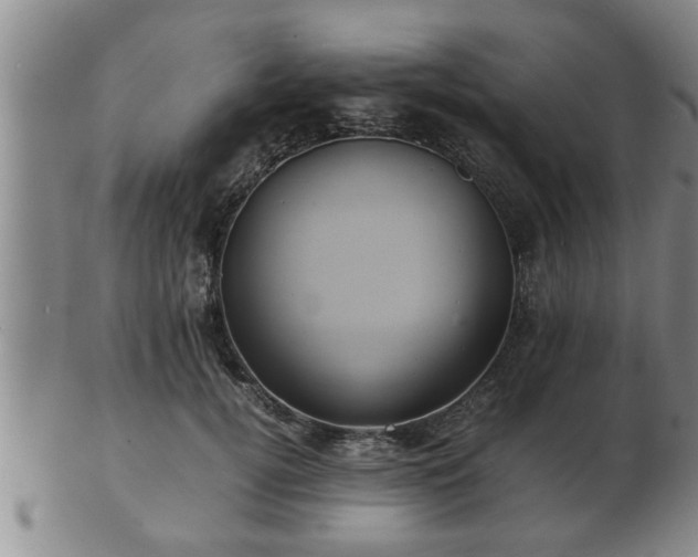 X0000103290752200809051459