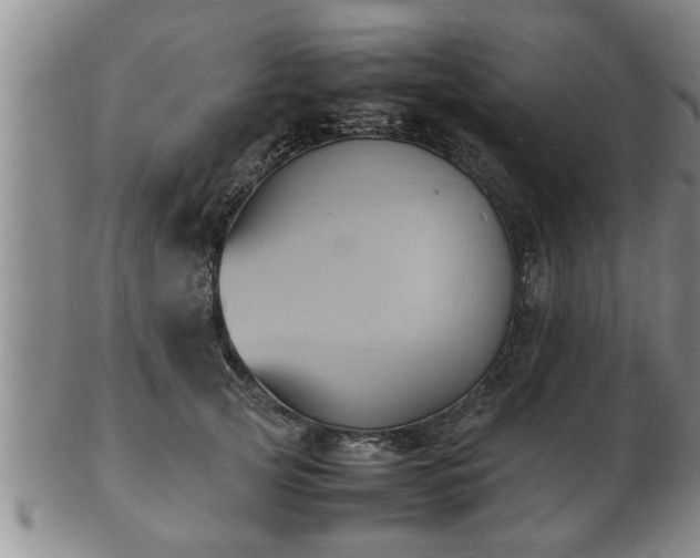 X0000103290753200809051459