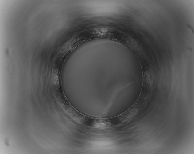 X0000103290754200809051459