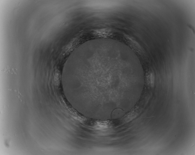 X0000103290757200809051459