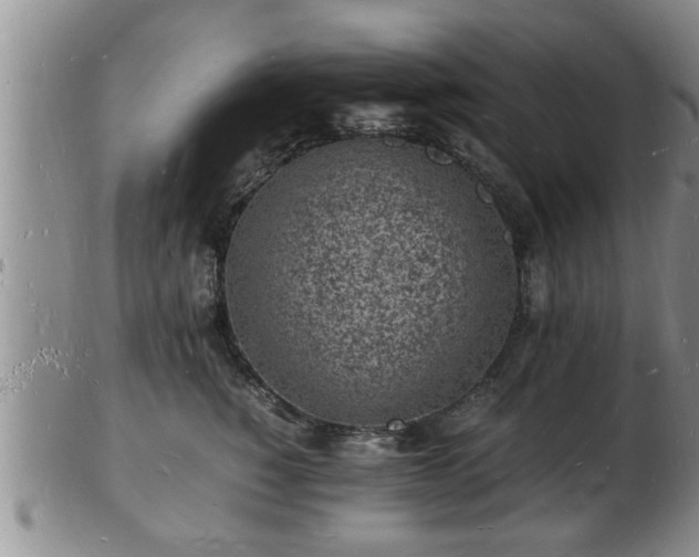 X0000103290760200809051459