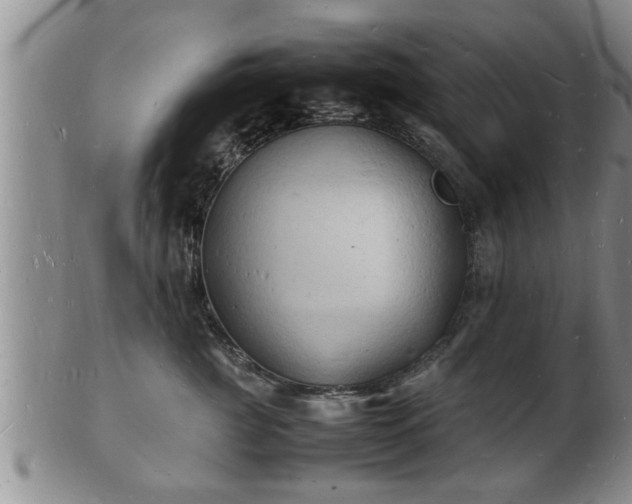 X0000103290761200809051459