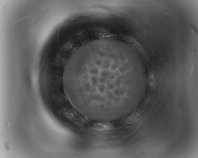 X0000103290763200809051459