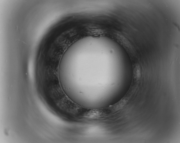 X0000103290764200809051459