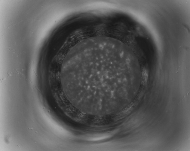 X0000103290765200809051459