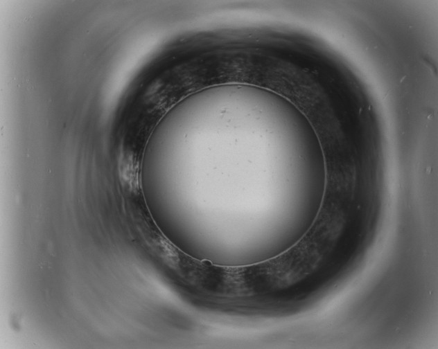 X0000103290766200809051459