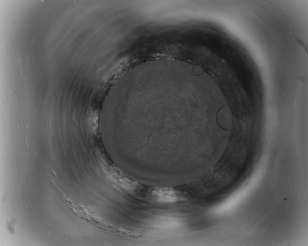 X0000103290767200809051459