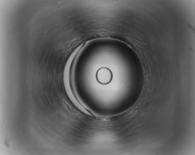 X0000103290768200809051459