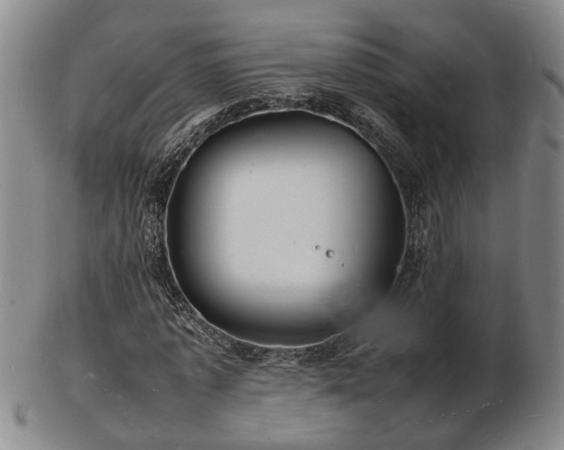 X0000103290773200809051459