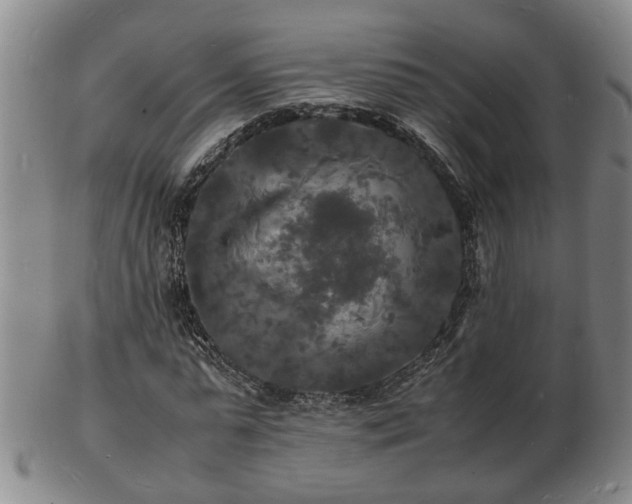 X0000103290775200809051458