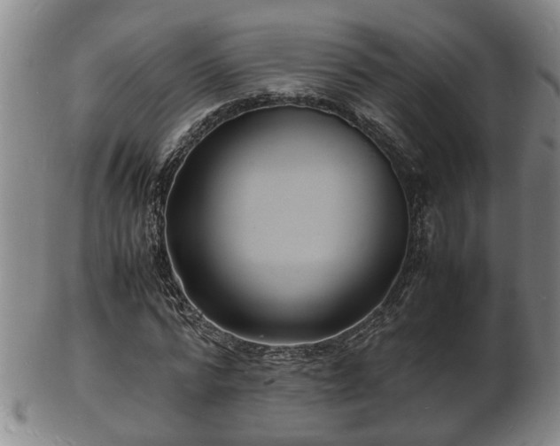 X0000103290776200809051458