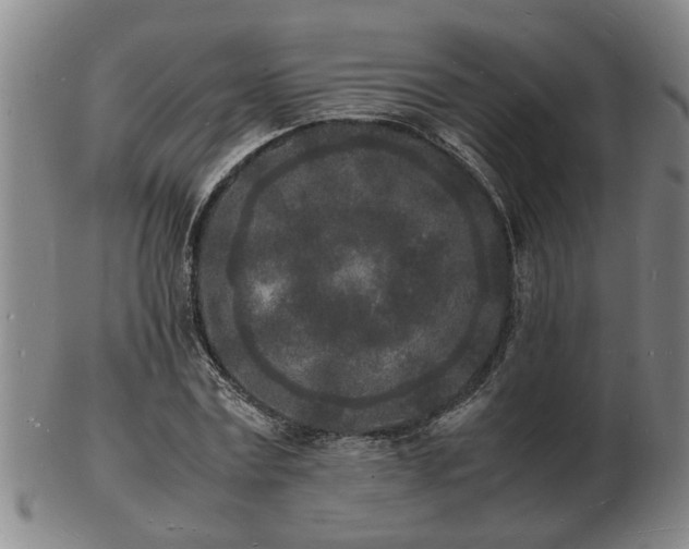 X0000103290779200809051458