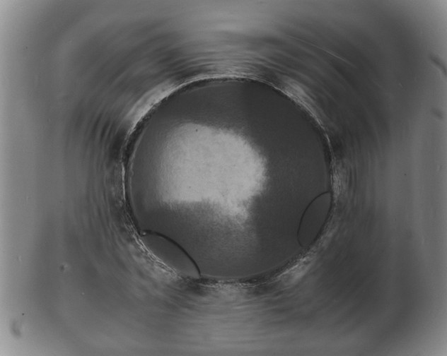 X0000103290781200809051458