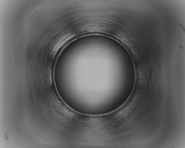 X0000103290782200809051458