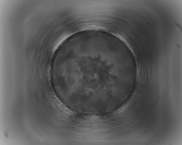 X0000103290783200809051458