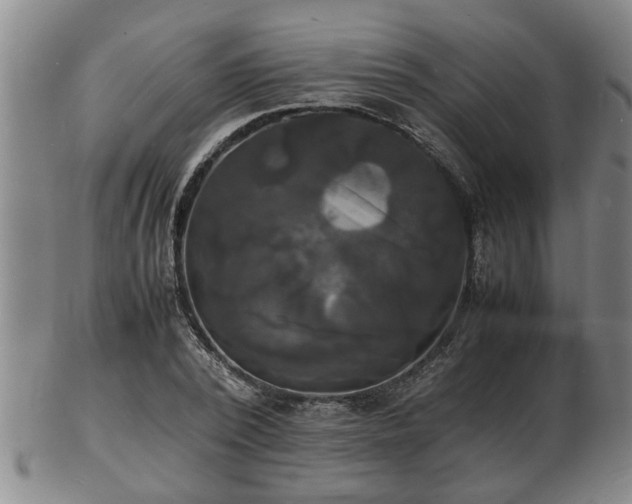 X0000103290784200809051458