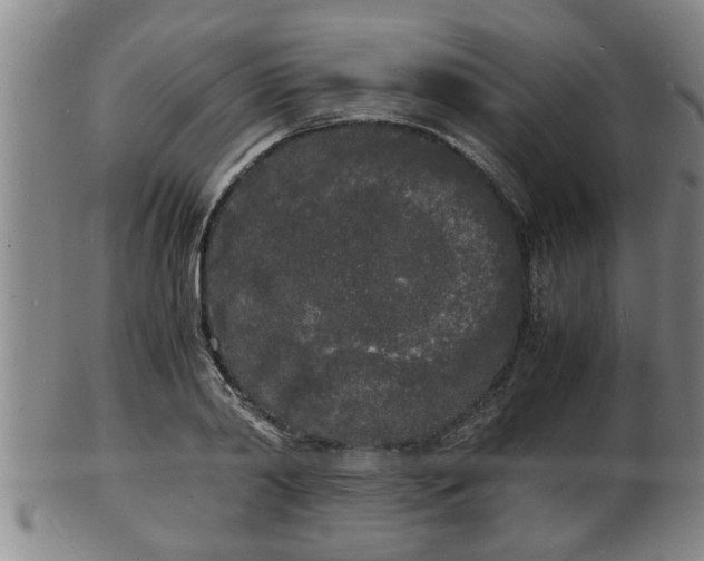 X0000103290790200809051458