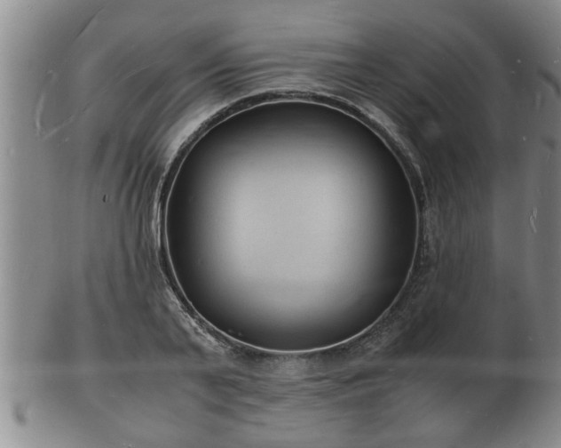 X0000103290791200809051458