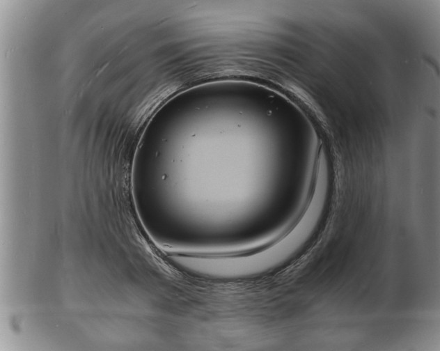 X0000103290793200809051458