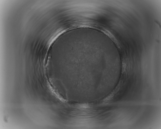 X0000103290798200809051458