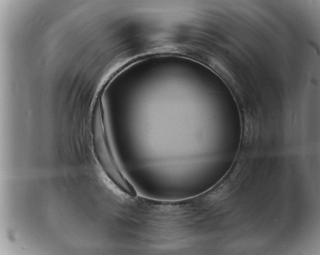 X0000103290800200809051458