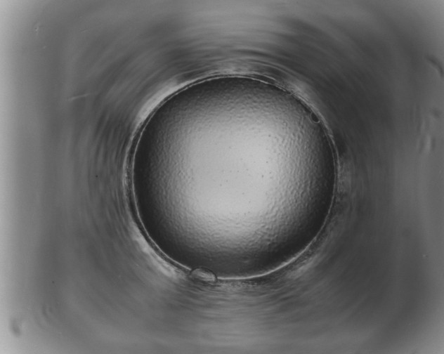 X0000103290803200809051458