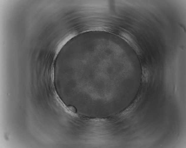 X0000103290804200809051458