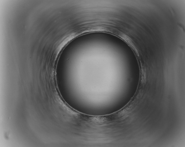 X0000103290805200809051458