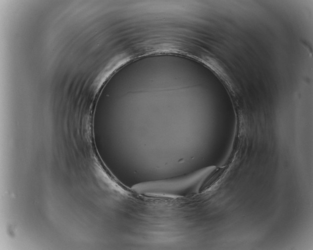 X0000103290806200809051458