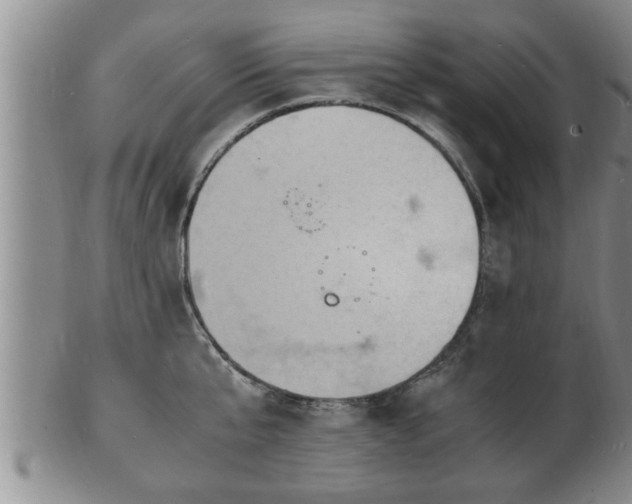 X0000103290807200809051458