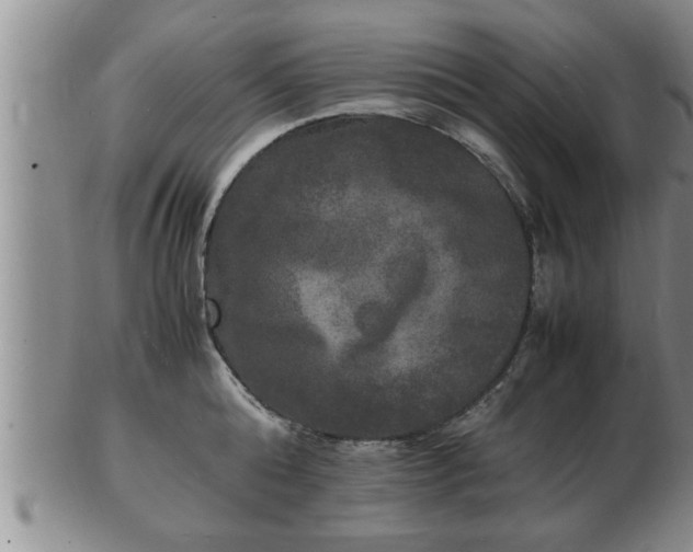 X0000103290808200809051458