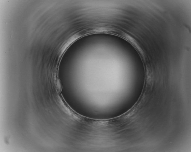 X0000103290810200809051458