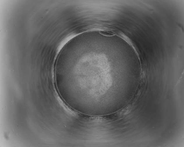 X0000103290811200809051458