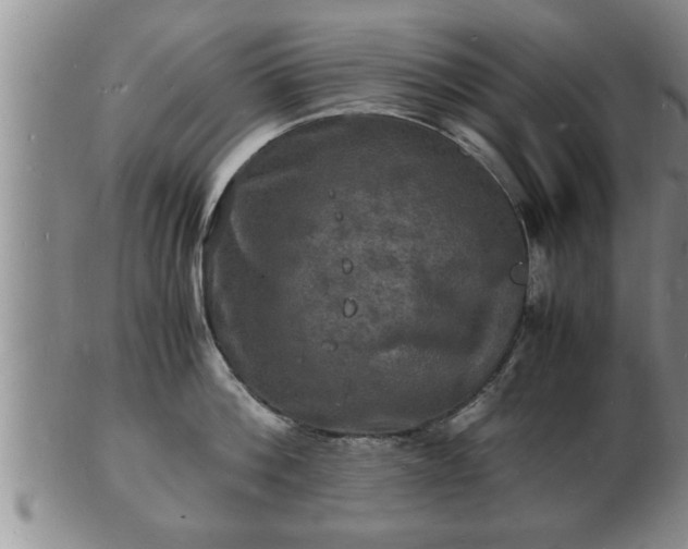 X0000103290812200809051458