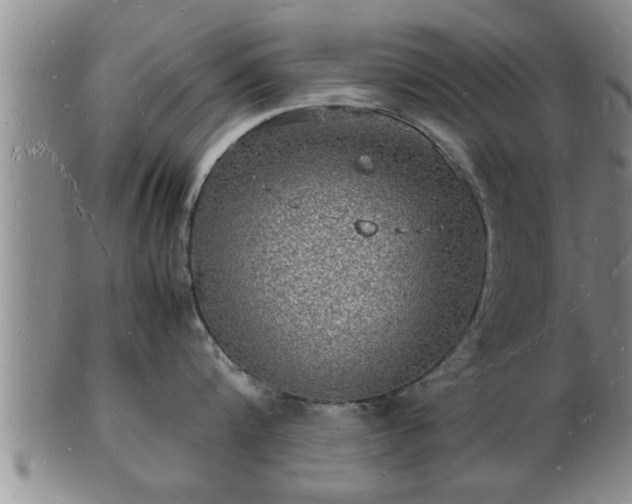 X0000103290816200809051458