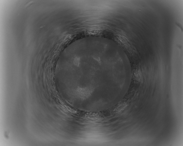 X0000103290817200809051457