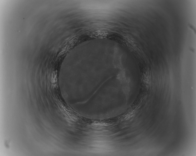 X0000103290818200809051457