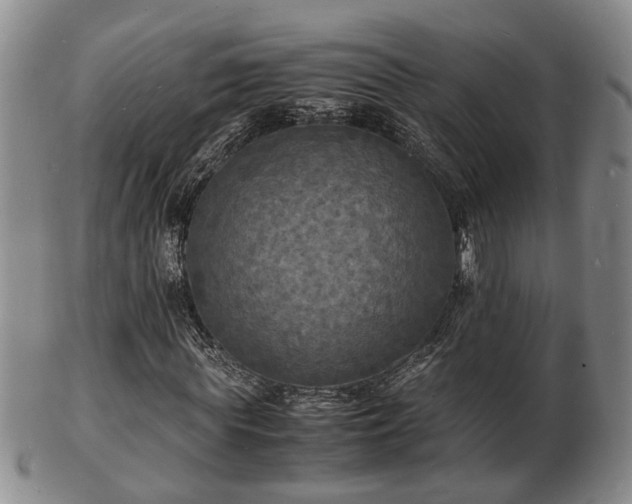 X0000103290819200809051457