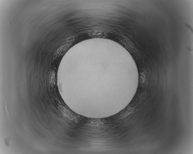 X0000103290820200809051457