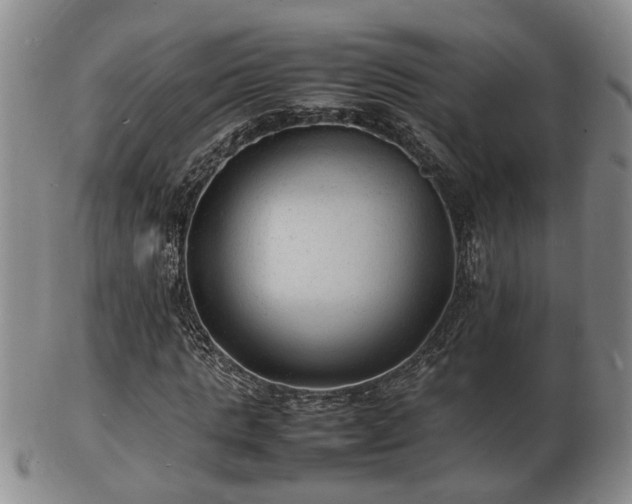 X0000103290821200809051457