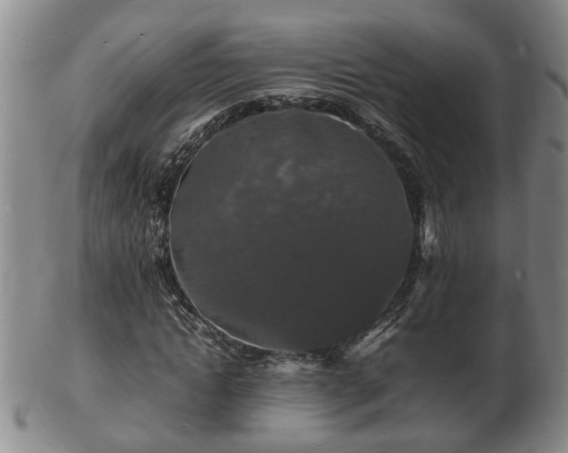 X0000103290822200809051457