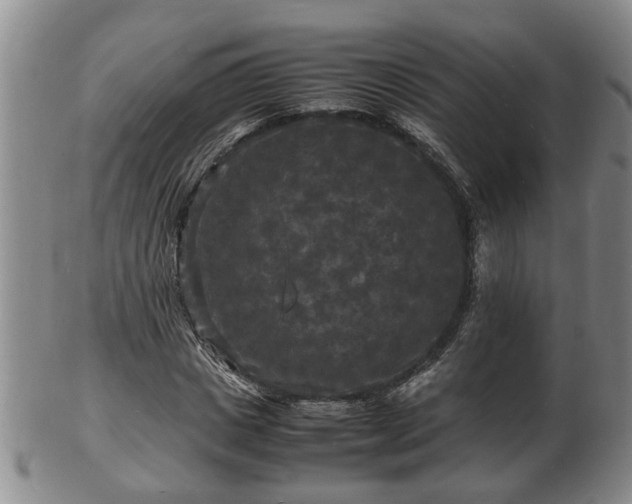 X0000103290825200809051457