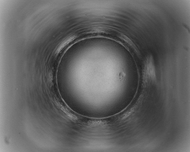 X0000103290826200809051457